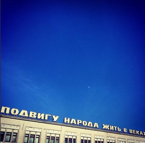 Съедобная нога и селфи бровей: что публикуют звезды в Instagram