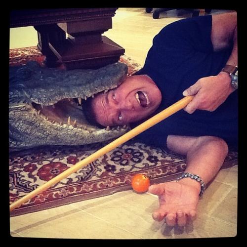 Съедобная нога и селфи бровей: что публикуют звезды в Instagram