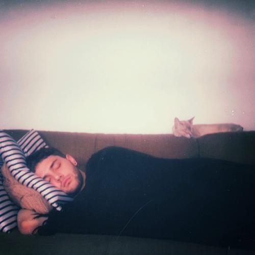 Съедобная нога и селфи бровей: что публикуют звезды в Instagram