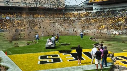 Как выглядят фильмы без спецэффектов