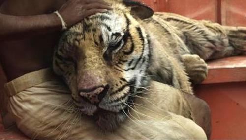 Как выглядят фильмы без спецэффектов