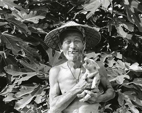 Трогательная история дружбы японского фермера и поросят