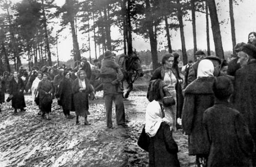 Фото, сделанные в первые недели Великой Отечественной войны