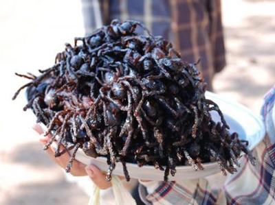 Топ-12 самых вкусных и шокирующих блюд из насекомых