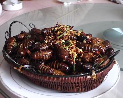 Топ-12 самых вкусных и шокирующих блюд из насекомых