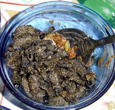 Топ-12 самых вкусных и шокирующих блюд из насекомых