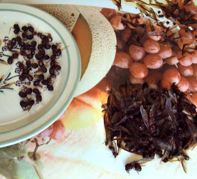 Топ-12 самых вкусных и шокирующих блюд из насекомых