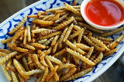 Топ-12 самых вкусных и шокирующих блюд из насекомых