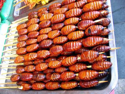 Топ-12 самых вкусных и шокирующих блюд из насекомых