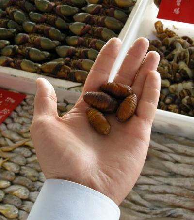 Топ-12 самых вкусных и шокирующих блюд из насекомых