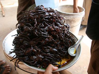 Топ-12 самых вкусных и шокирующих блюд из насекомых