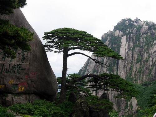 Парящие горы "Аватара" нашлись в Китае