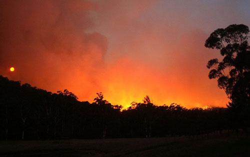 В Австралию «пришёл ад во всей своей ярости»