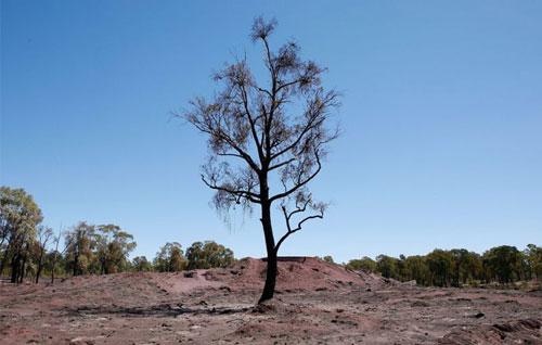 В Австралию «пришёл ад во всей своей ярости»