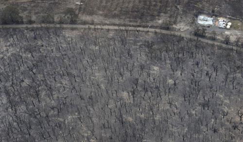 В Австралию «пришёл ад во всей своей ярости»