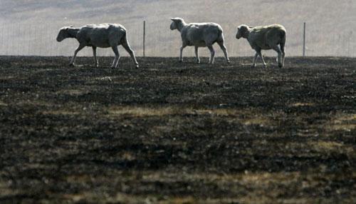 В Австралию «пришёл ад во всей своей ярости»
