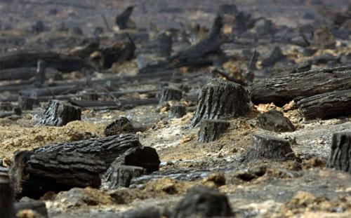 В Австралию «пришёл ад во всей своей ярости»