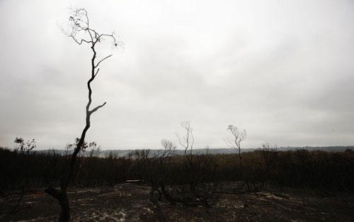 В Австралию «пришёл ад во всей своей ярости»