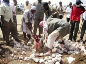 Шариатский суд устроил публичную казнь двух людей