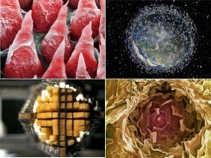 Интригующие кадры Science Photo Library