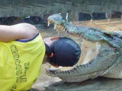 По дороге в Патайю вам улыбнется крокодил