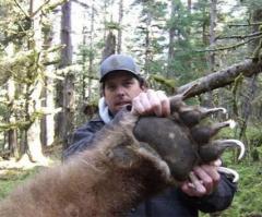 Охотники  завалили исполинского медведя