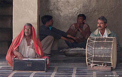 «Крысиный рай» находится в Индии