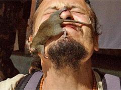 «Крысиный рай» находится в Индии