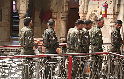 «Крысиный рай» находится в Индии