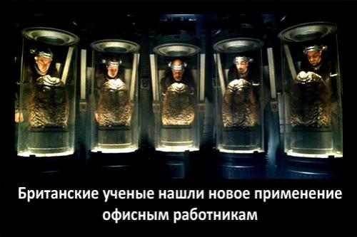 Мировой кризис пробудил в россиянах приступ креатива