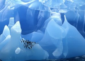 Cамые древние в мире айсберги