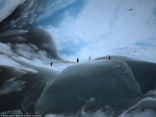 Cамые древние в мире айсберги