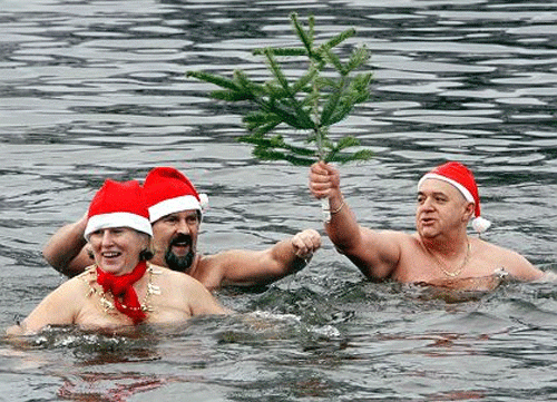 Рождественские пловцы бьют рекорды…