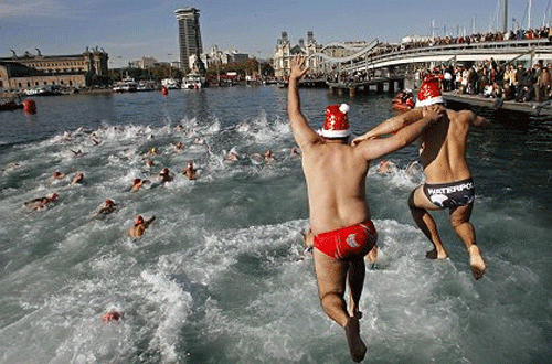 Рождественские пловцы бьют рекорды…