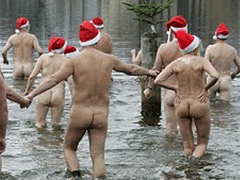 Рождественские пловцы бьют рекорды…