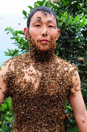 Китайский пчеловод покрыл себя пчёлами