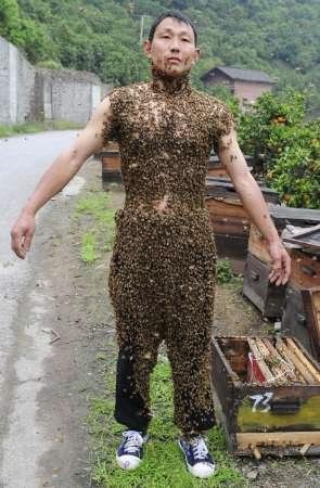 Китайский пчеловод покрыл себя пчёлами