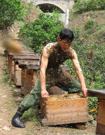 Китайский пчеловод покрыл себя пчёлами