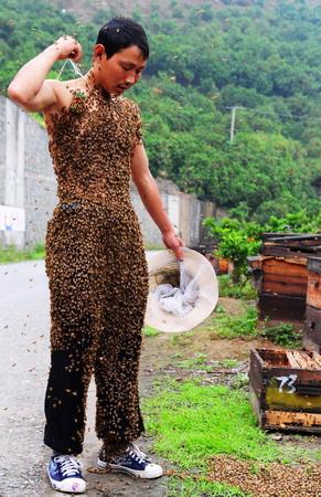 Китайский пчеловод покрыл себя пчёлами