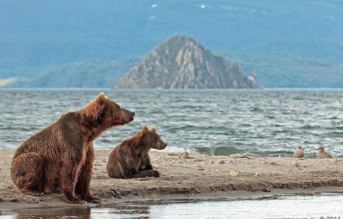 Кратерные озера Земли