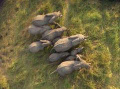 Google Earth: посмотри на мир сверху