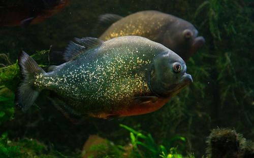 10 самых опасных пляжей мира