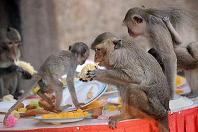 10 самых необычных фестивалей 2011 года