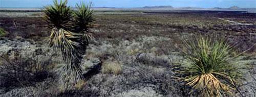 Сказочная пещера открылась в мексиканской пустыне