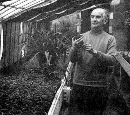 Неизвестные факты из жизни Луи де Фюннеса, о которых вы не знали