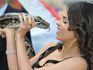 Звезда Болливуда  удивила Канны камасутрой со змеями