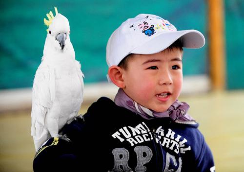 В Китае прошла птичья Олимпиада