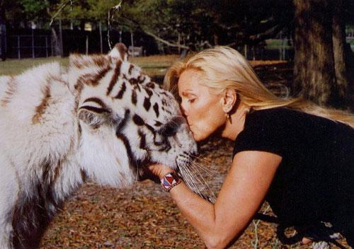 Цирковые трагедии: как звери калечат дрессировщиков