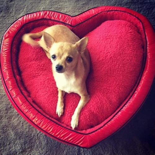 Как и на чем зарабатывают Пэрис Хилтон, Ким Кардашьян и другие звезды гламура