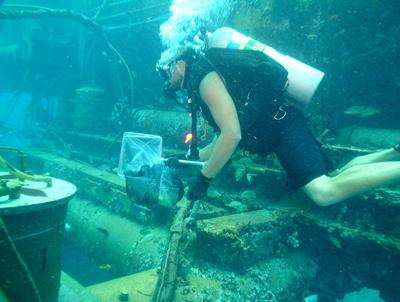 «Водолей» — единственная в мире подводная лаборатория